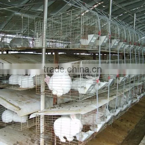 Indoor Rabbit Hutch photo-3