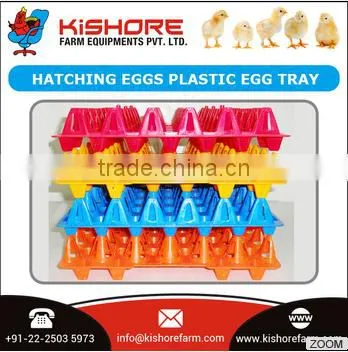 30 Holes High Quality Plastic Egg Tray