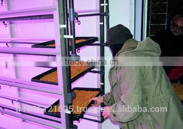 STAR GF300 Hydroponic Trays / Hydroponics Fodder / Hydroponic Fodder photo-3