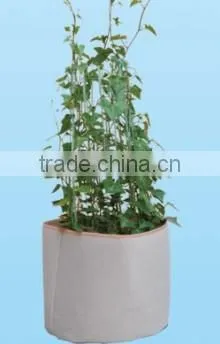 Non Woven Fabric Growing Cone for Tomato Bags photo-2