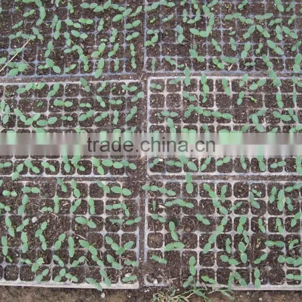 OEM Design Thermoformed Agricultural Plastic Pallets photo-2