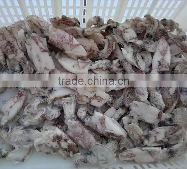IQF China Yellow Sea Baby Squid photo-3