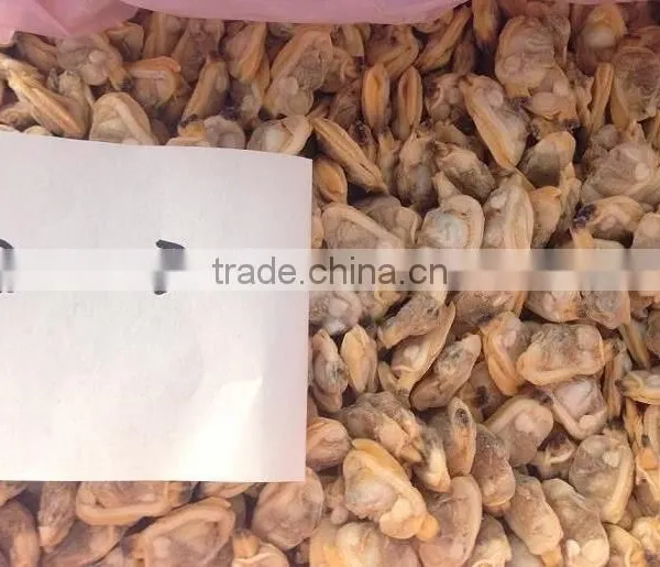 Baby Clam Meat
