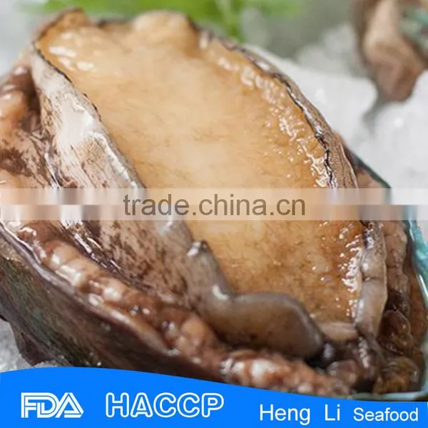 Seafood Fresh Abalone photo-2