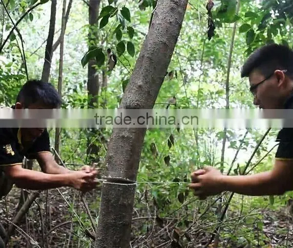 ISPO Awarded Outdoor Survival Gear Steel Chain Saw for Cutting Trees photo-3