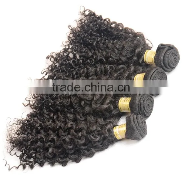 Wholesale 100% Natural Indian Human Hair Price List, Unprocessed Virgin Raw Indian Curly Hair photo-5