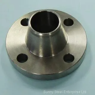 Carbon Steel Flange photo-3