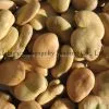 Broad Bean
