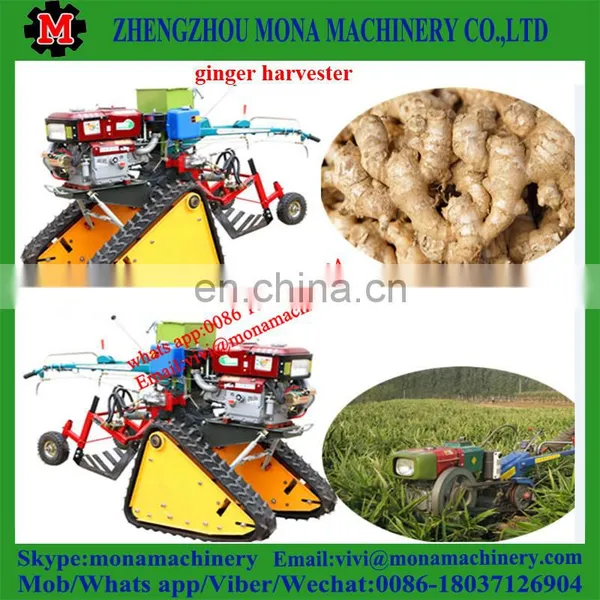 Ginger Digger/Ginger|Chinese Medicine|potato Digger Price photo-5