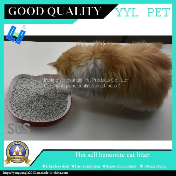 Best Quality Bentonite Cat Litter From China photo-3