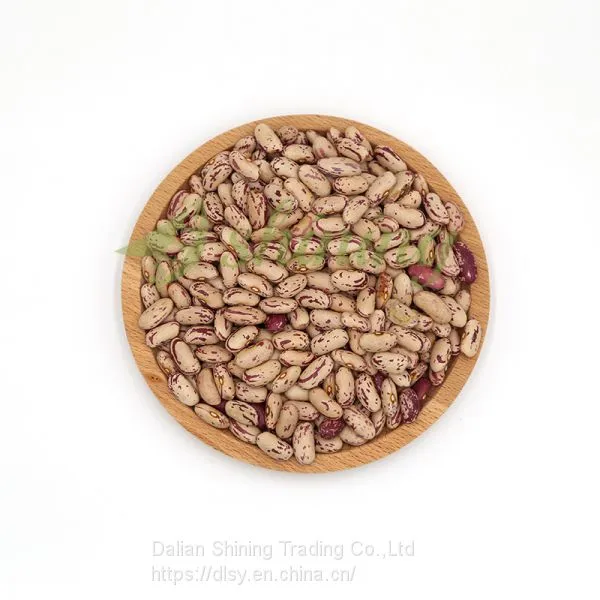 Wholesale Price Pulse Exporter Bulk Light Speckled Kidney Beans