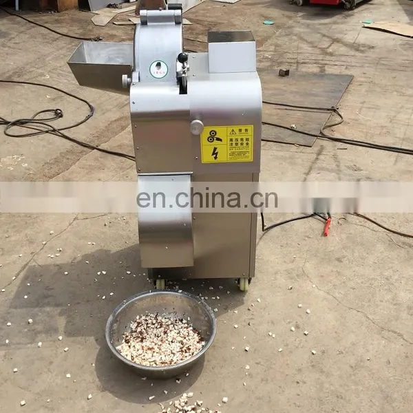 Industrial Vegetable Dicer Machine for Dicing Tomato Ginger Eggplant Radish Carrot Mushroom photo-6