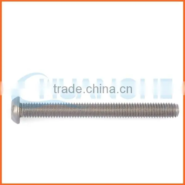 China Supplier Self Tapping Anti-theft Screw photo-4