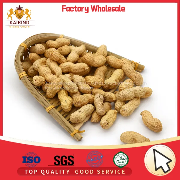 BLANCHED PEANUTS AT VERY GOOD PRICE BUT HIGH QUALITY photo-5