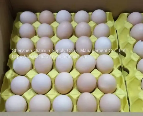 Fresh Eggs for Hong Kong Market photo-3