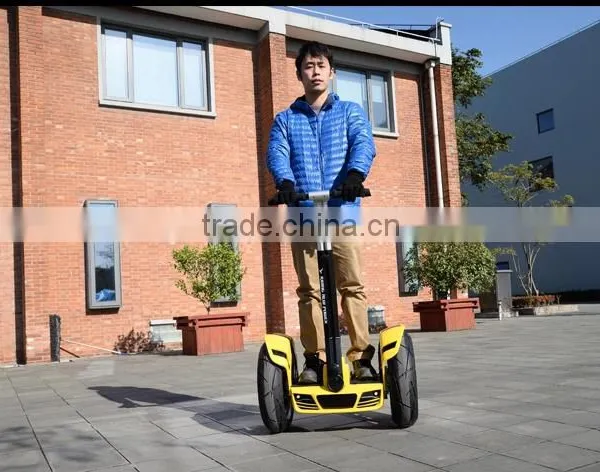 Sunnytimes-two Wheel Self-balancing Electric Scooter
