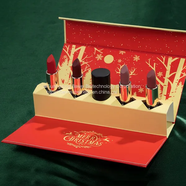 CHRISTMAS LIPSTICK& LIP TINT GIFT SET