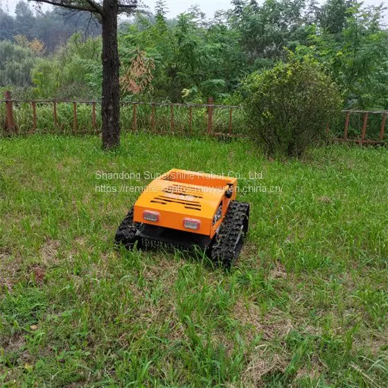 Remote Control Mower China Manufacturer Factory Supplier Wholesaler photo-3