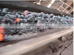 Heat Resistant High Temperature Resistant Conveyor Belt photo-4