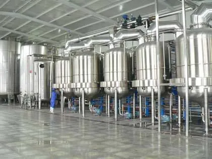 Commercial Industry Fruit Juice Making Machine / Natural Juice Production Line / Lemon Juice Processing Plant photo-3