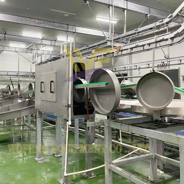 1000 Sheep Per Day Goat Slaughtering Equipment Muslim Halal Lamb Abattoir Machinery Butcher Machine Mutton Processing Factory photo-5