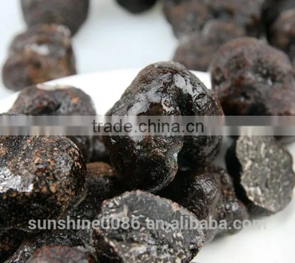 High Quality Fresh Black Truffle,Frozen Mushroom photo-2