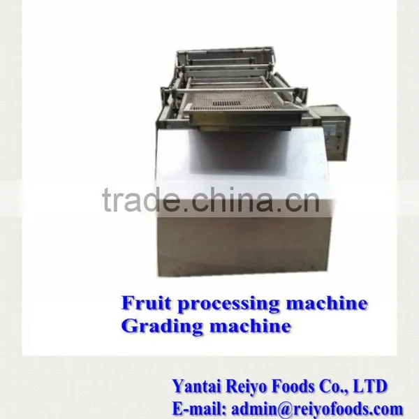 Fruit Processing Machine / Cherry Stem Removing Machine photo-6