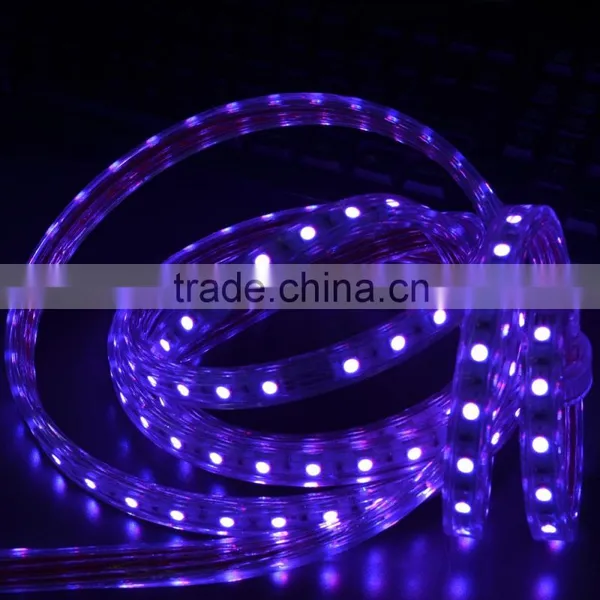 110-220V High Voltage SMD5050 Strip Lights for Outdoor Use photo-2