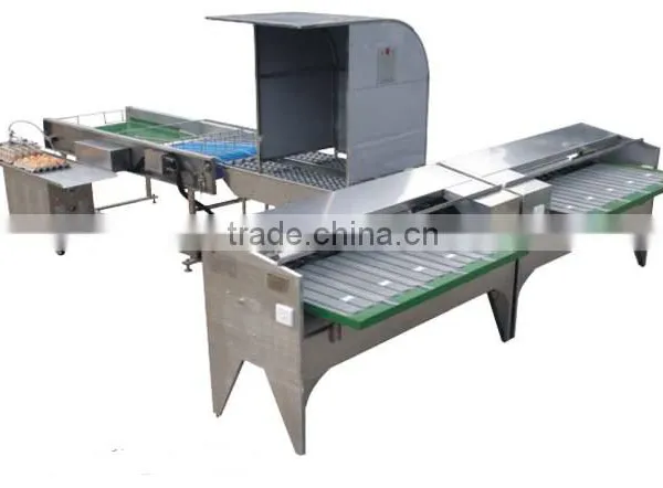 China supplier egg collection/grader machine