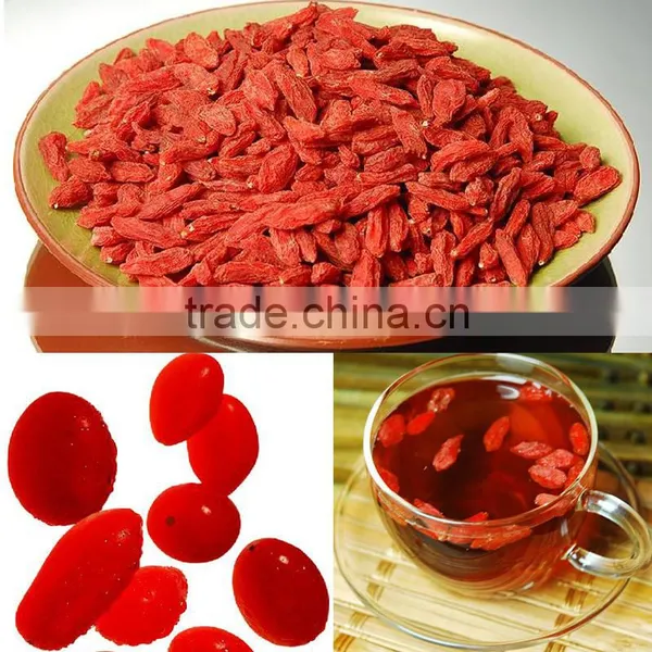 Top Quality China Tibet Himalayan Fruit Tea Medlar in Bulk Gouqizi Increase Immunity Tea Dried Wolfberry Herbal Tea photo-2