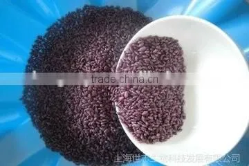 Supply Purple Potato Rice Production Line /nutritional Rice Extuder Machine photo-2