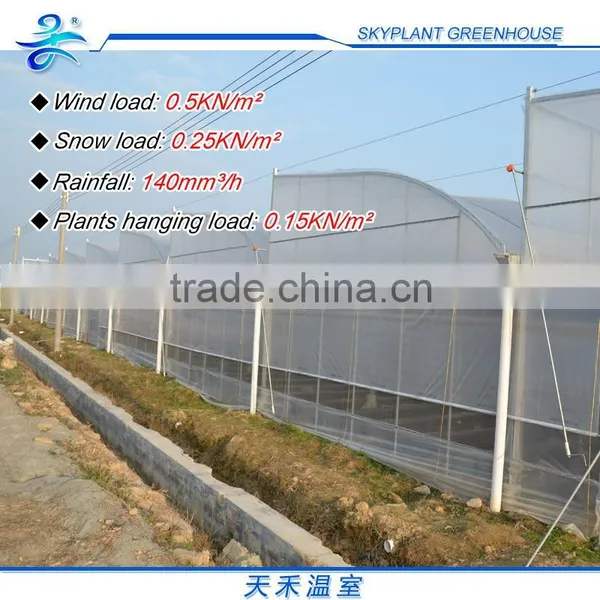 Sp-M-S-F-H Serrated Multi-Span Horticultural Plastic Film Greenhouse photo-2