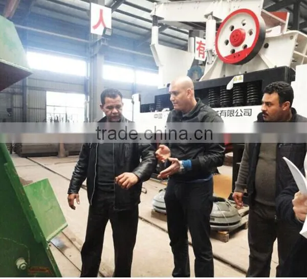 Mining Equipment Low Price for Mobile Stone Crusher/Hammer Crusher photo-6