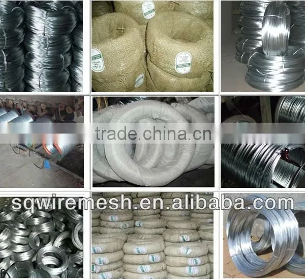 Galvanized Wire Factory /all Kinds of Galvanized Wire/ photo-3