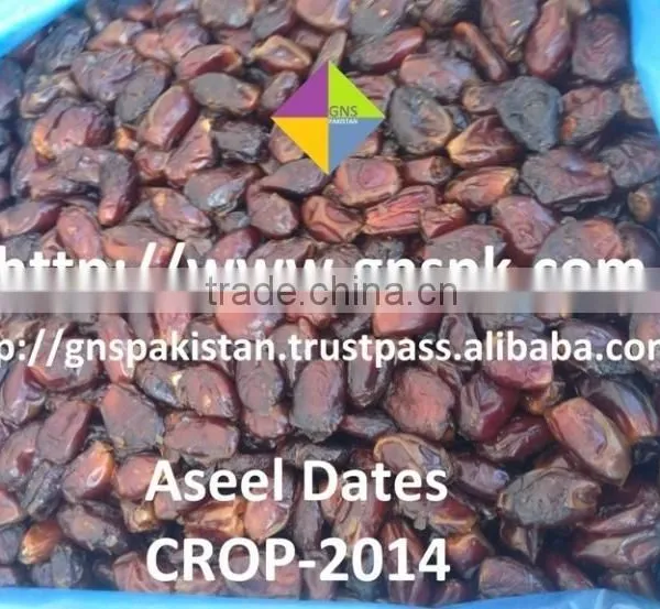 Packaged Aseel Dates by GNS Pakistan photo-6