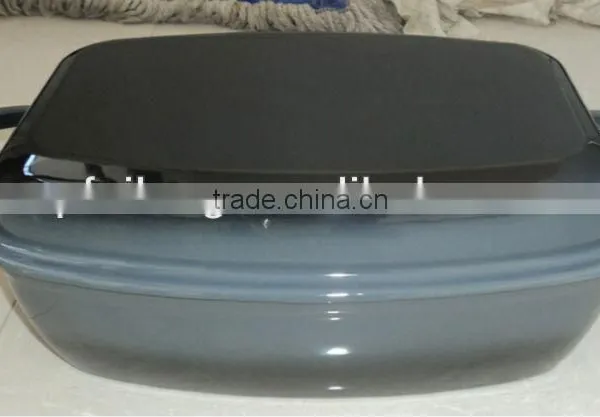 Cast Iron Roaster and Griddle