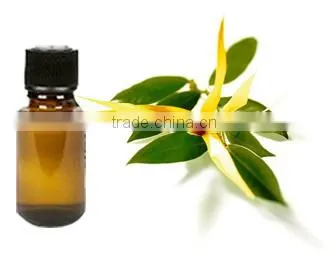 Ylang Ylang Essential Oil From India | Guaranteed 100% Pure Ylang-Ylang Oil photo-5