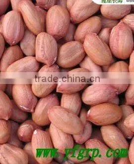China Fried and Salted Peanut photo-3