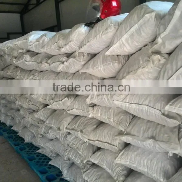 Dried Ginger Export Prices Ginger Root for Sale photo-6