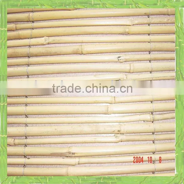 Bamboo Fence
