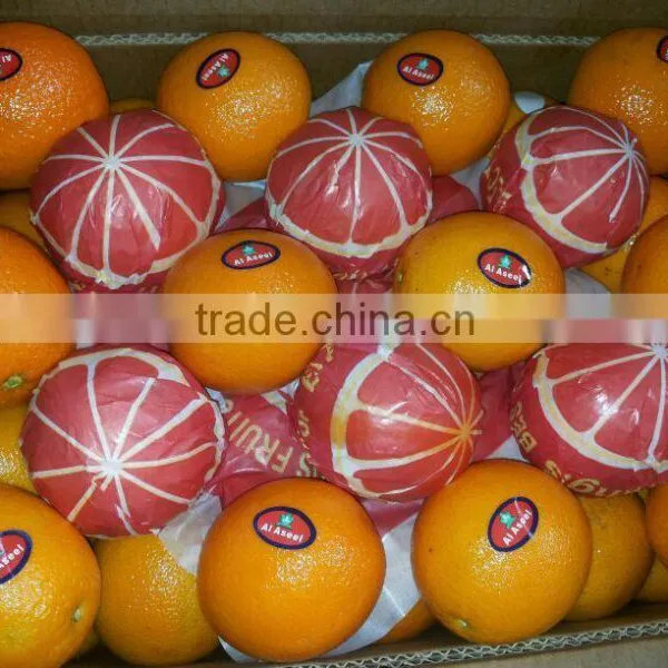 Forwell Oranges From Egypt photo-3