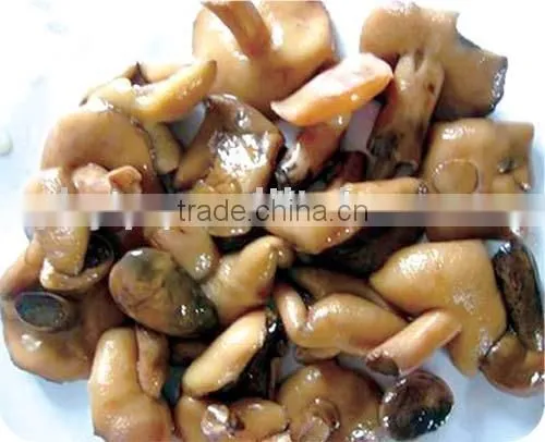 Suillus in Brine photo-2