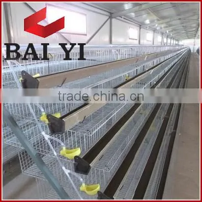 H Type Commercial Quail Cages For Sale photo-2