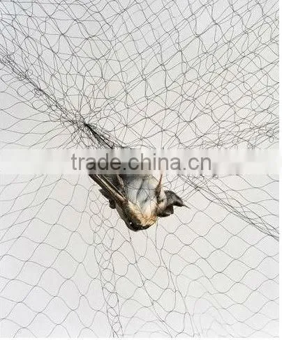 Anti Bird Net for Shrimp Farming photo-4