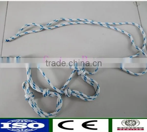 PP Material Horse Halter and Lead Rope photo-3