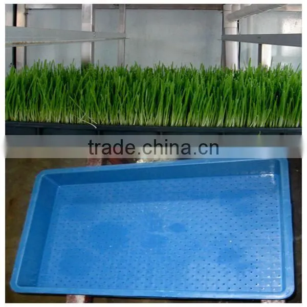 Lowest Price Automatic Bean Sprouter Machine With Best Service photo-6