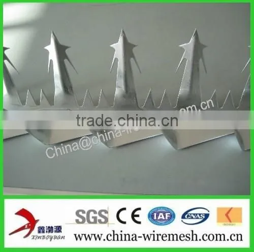 Galvanized Steel Wall Spikes / Anti-climb Spikes/ Security Spikes (factory ) photo-4