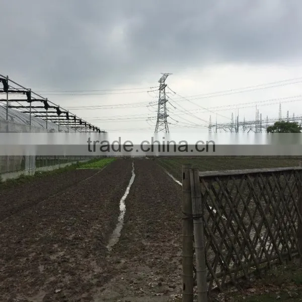 Agicultural Greenhouse photo-3