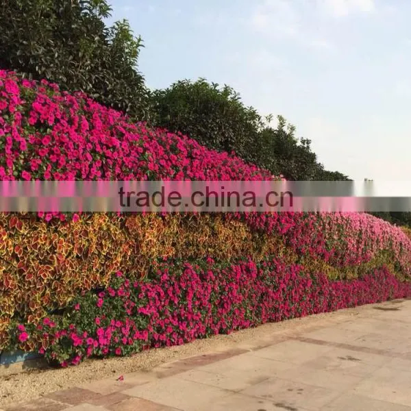 Garden Decorative Plastic Planter Pots Wall Planters SL-YT5030 photo-4
