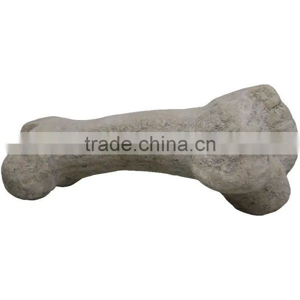Dinosaur Bone